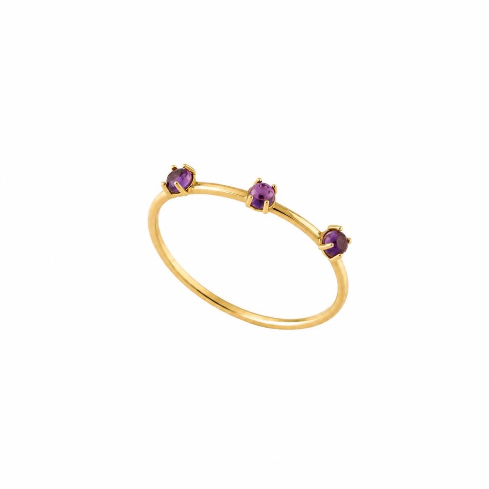 Ulysses Ring in 14K Yellow Gold with Amethyst