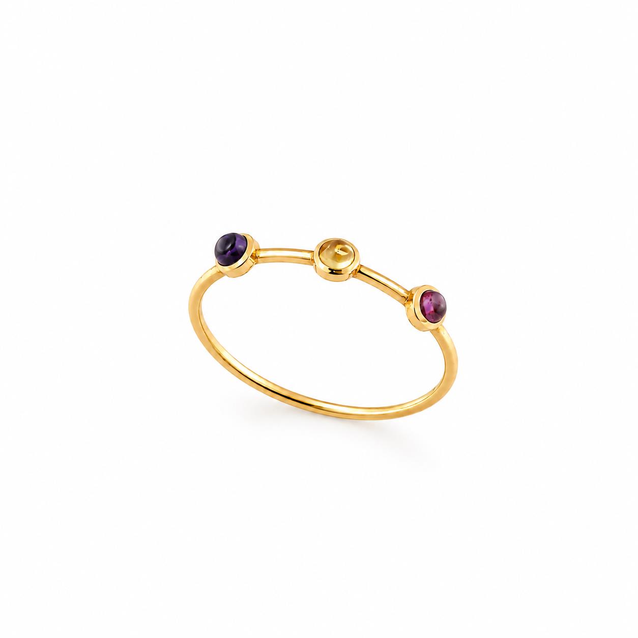 Ulysses 14K Yellow Gold Ring with Amethyst and Citrine